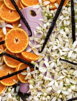 AL ABSAR RANIA 100ML  - EDP