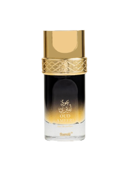 SURRATI OUD AMEERI 100ML EDP